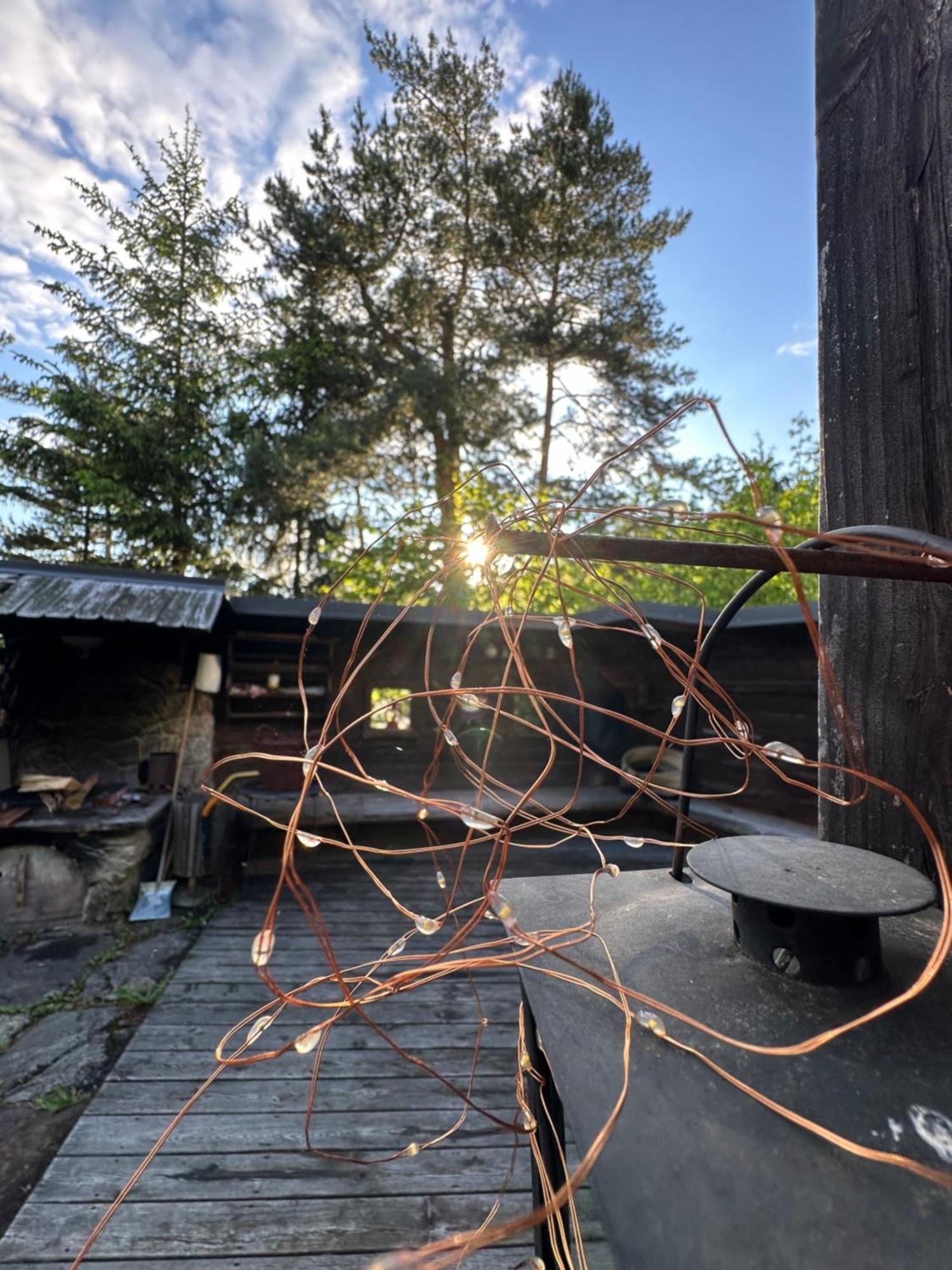 Ferienhaus Im Wald Edelschrott エクステリア 写真