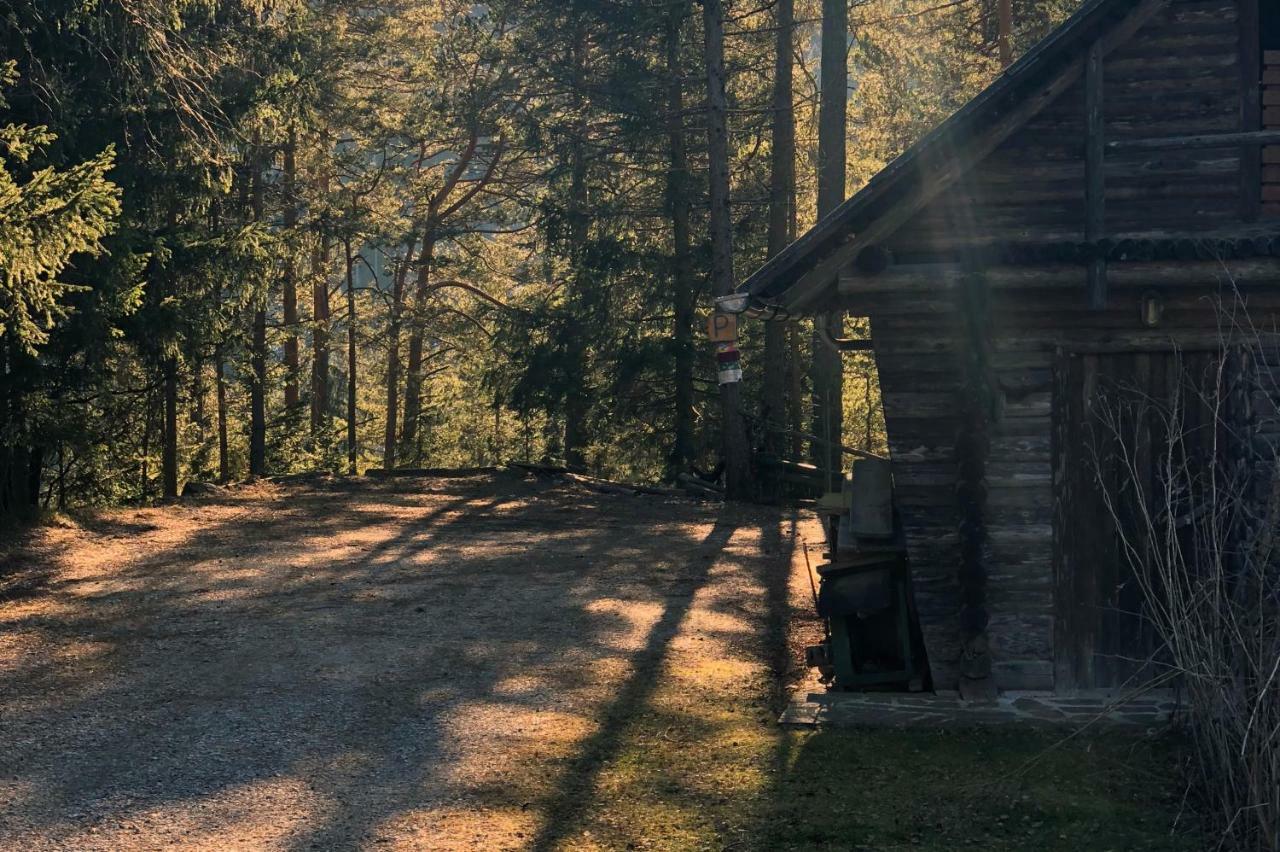 Ferienhaus Im Wald Edelschrott エクステリア 写真